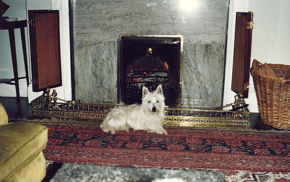 Screen Shot 2016-06-05 at 3.23.27 PM.png